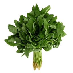 [0100028499] GREEN AMARANTH LEAVES 1PC