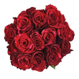 [0100023612] RUBA RED ROSE /Kg