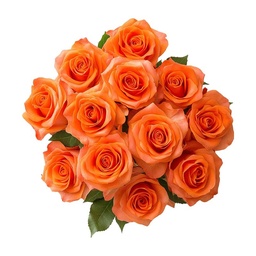 [0100023614] RUBA ORANGE ROSE /Kg