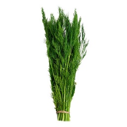 [0100028711] DIL LEAVES PCS