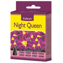 [0100029237] AG DHOOP CONE NIGHT QUEEN 15STK