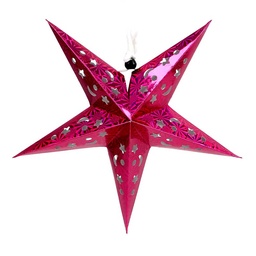 [0100029694] CHRISTMAS STAR #300