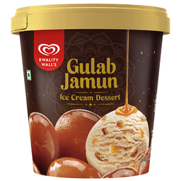 [0100030062] KWALITY GULAB JAMUN MITHAI ICE CREAM 450ML