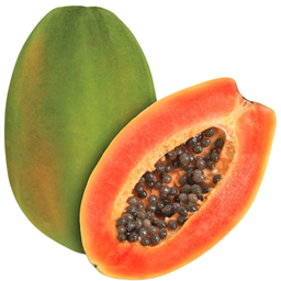 [0100030170] PAPAYA RED