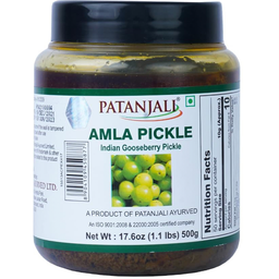 [0100030308] PATANJALI AMLA PICKLE 500GM