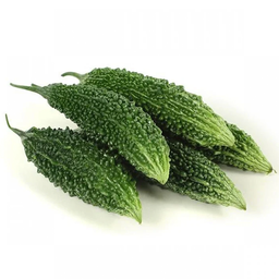 [0100030331] RUBA BIG KARELA INDIA KGS