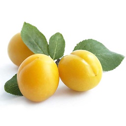 [0100022997] PLUMS YELLOW /Kg