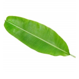 [0100021991] BANANA LEAVES