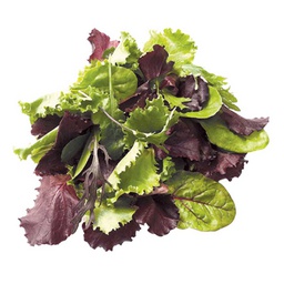 [0100022492] MESCIUN LEAVES ITALY PKT