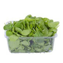 [0100022493] ROCKET LEAVES ITALY PKT