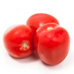 [0100024228] PLUM TOMATO PKT