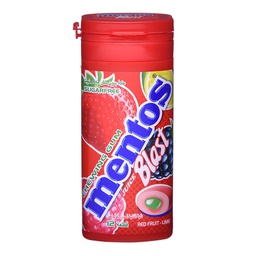[0100004268] MENTOS GUM RED FRUIT LIME - PKT BTL  24